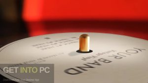 VideoHive-Vinyl-Record-Openers-AEP-Direct-Link-Download-GetintoPC.com_.jpg